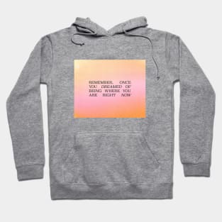 Progress Multi Colored Hoodie